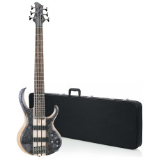 Ibanez BTB Standard 6-String Fretless Bass with a Case