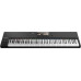 Native Instruments Komplete Kontrol S88 Mk2 Keyboard Native Instruments Komplete Kontrol S88 Mk2 Keyboard